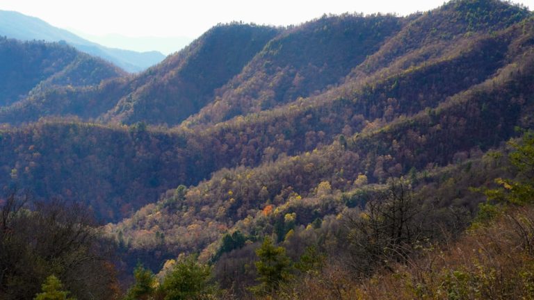 Unleashing the Wanderlust: Budget-Friendly Outdoor Adventures Await!